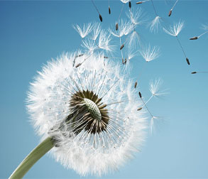 經營理念（niàn）