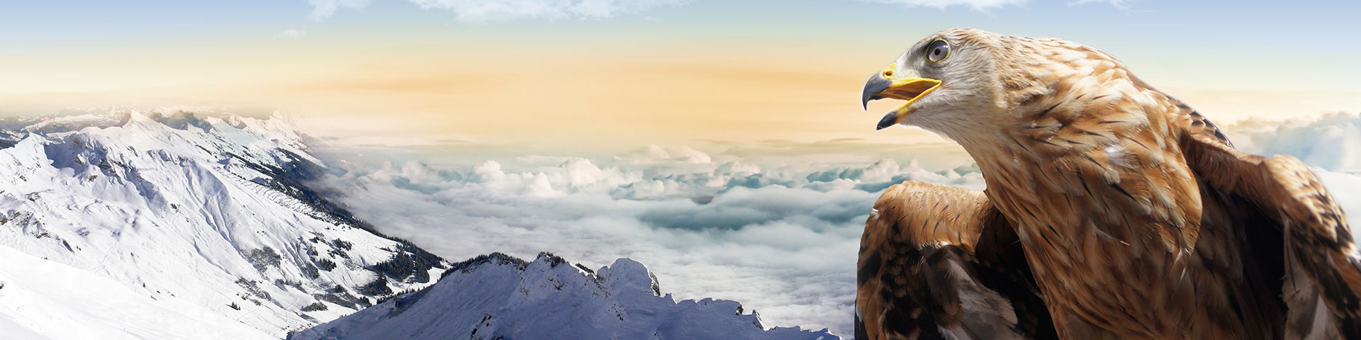 浙江17C.COM環保設備有限公司（sī）